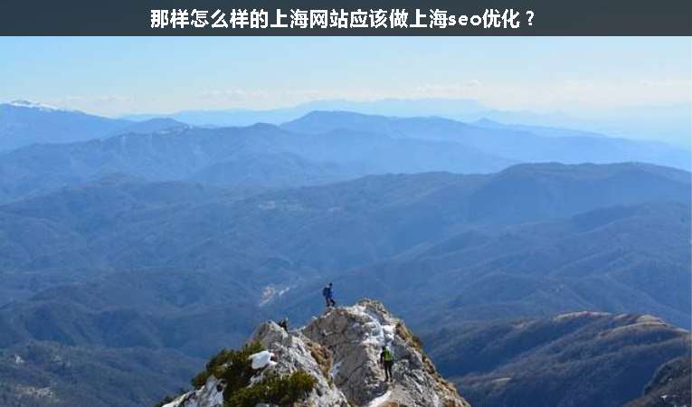 那樣怎么樣的上海網(wǎng)站應該做上海seo優(yōu)化？