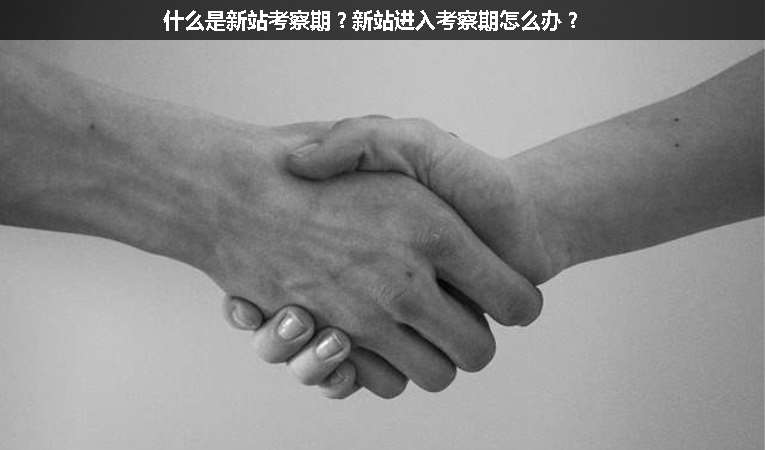什么是新站考察期？新站進(jìn)入考察期怎么辦？