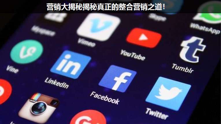 營銷大揭秘揭秘真正的整合營銷之道！