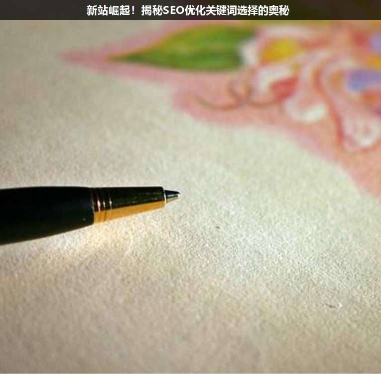 新站崛起！揭秘SEO優(yōu)化關(guān)鍵詞選擇的奧秘