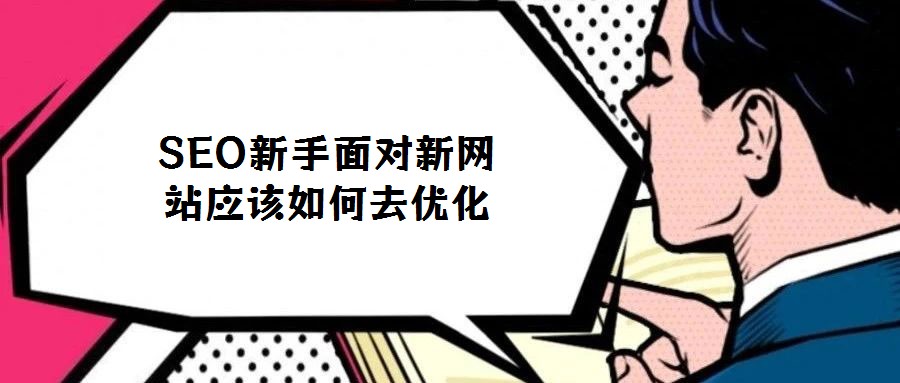 SEO新手面對新網(wǎng)站應該如何去優(yōu)化