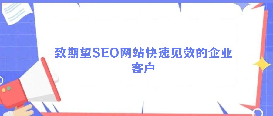 致期望SEO網(wǎng)站快速見效的企業(yè)客戶